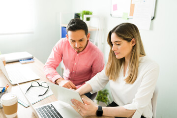 Professional colleagues checking a business presentation