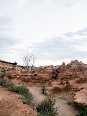 landscape of eroded rocks and ravines in the desert.