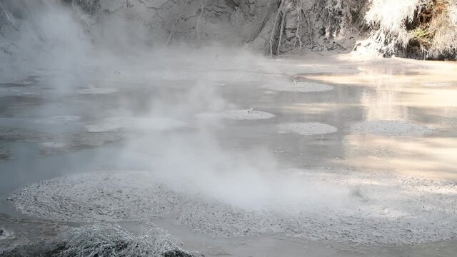 Mud Pools with boiling liquid, natural geothermal valley. Slow motion