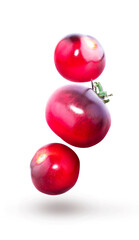 Fresh cherry tomatoes isolated on white background. Cherm tomatoes. Tomatoes.