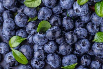 Fresh blueberry background. Blueberry Texture Close Blueberry Antioxidant Organic Superpeed Bowl Concept Healthy Nutrition