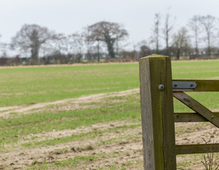 Fototapeta na wymiar close up of a wooden gate post covering the entrance to an arable field in rural Norfolk. Intentional shallow depth of field and bokeh.