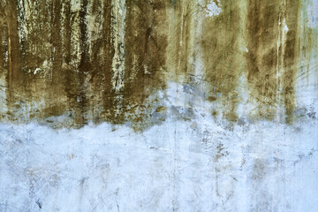 Concrete wall texture with green mold stains