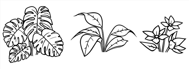 Houseplants vector illustration set - outline indoor flowers with leaves. Line art doodle drawings isolated on white background for floral design. EPS 10 format