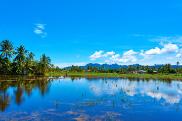 Naklejka na ściany i meble Tropical landscape. Mountains, palms and blue sky. Pure nature. Lake with mirror reflections