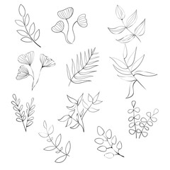 Twigs and leaves drawn with a black line. Vector illustration
