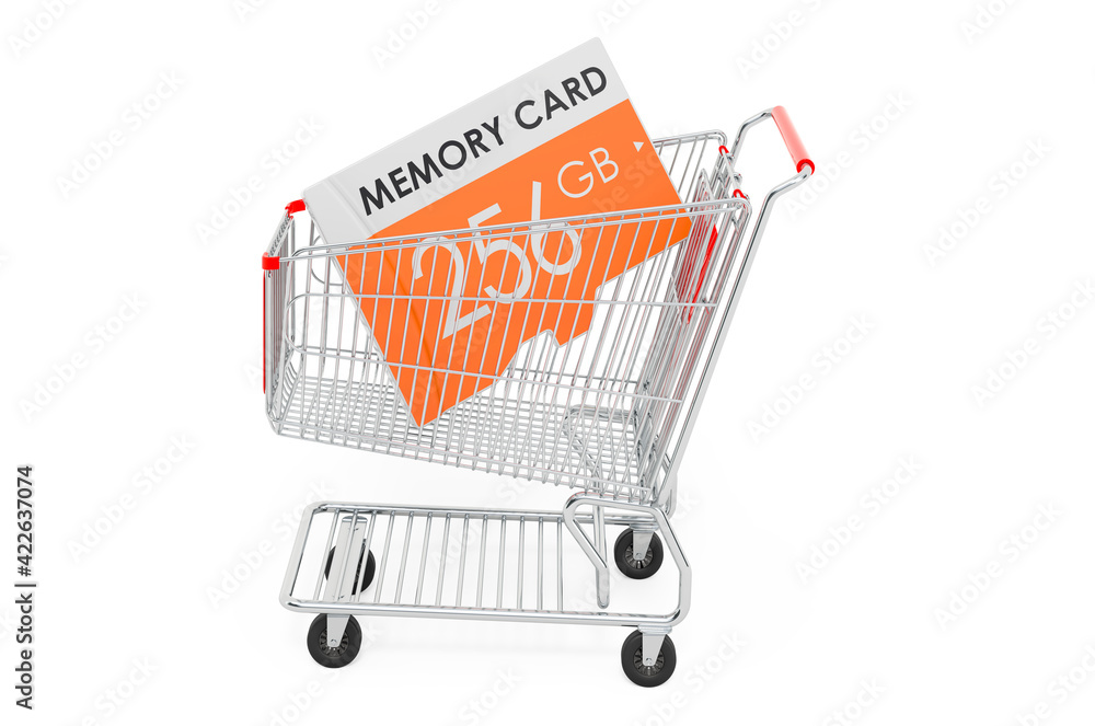 Poster shopping cart with memory card, 3d rendering