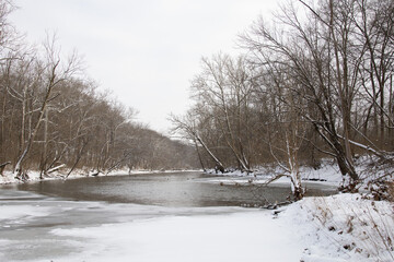 Frozen river in winter forest