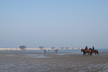 horses galloping by the sea