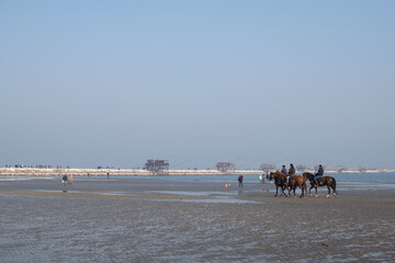 horses galloping by the sea