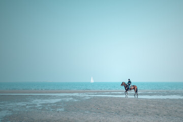 horses galloping by the sea