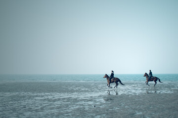 horses galloping by the sea