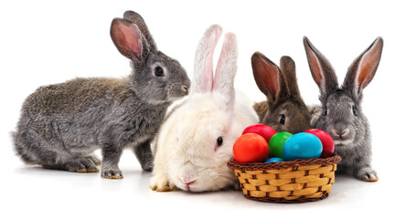 Gray and white rabbits with Easter eggs.
