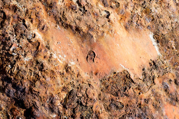 Texture on rusty metal of a marine buoy