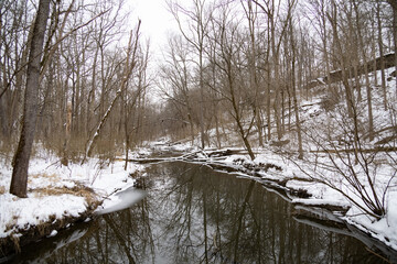 river in winter forest with reflection