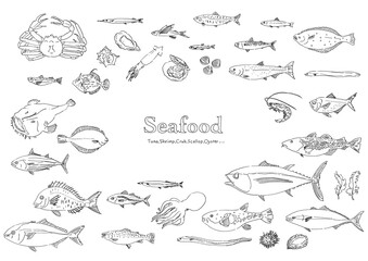 魚のイラストセット-手描き