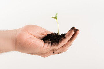 cropped view of man holding soil with young plant isolated on white, ecology concept