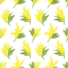 Fototapeta na wymiar Seamless vector pattern of silver acacia or mimosa yellow flower. 