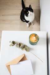 blank greeting card  and cute little cat invitation mockup with craft paper envelope  feminine still life composition