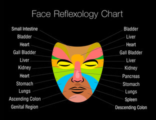 Face reflexology chart with colored areas and names of corresponding internal organs. Colorful zone massage mask on black background.
