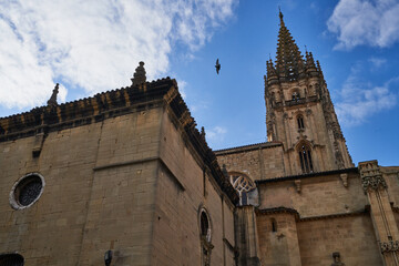 Fototapeta na wymiar Metropolitan Cathedral of San Salvador de Oviedo (Uviéu)