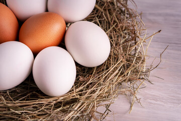 Closeup raw white brown organic fresh eggs shell with yolk from happy chicken hen free range farm on nature hatch grass straw nest healthy protein food symbol of spring season birth easter festival 