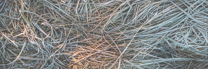 The grass is covered with frost. Beautiful natural background with hoarfrost on the grass. Ground texture with frozen meadow plants. Rime ice on blades of grass during frosts. Cold weather.