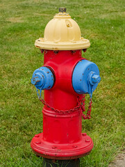 red fire hydrant on the field