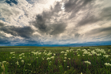 Clouds over a grassy field. - 422649066