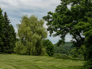 landscape with beautiful trees near Conway , Massachussets, USA