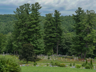 Fototapeta na wymiar cemetery with trees in the park