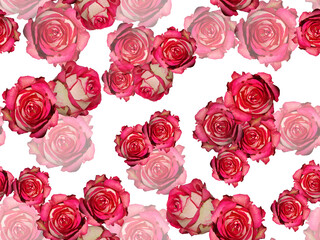 Seamless pattern with bright pink roses on a white background.