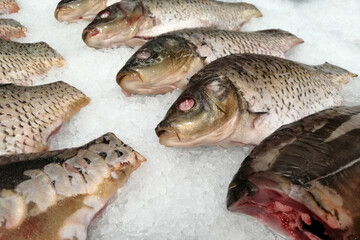 Fresh fish, gutted carp on ice