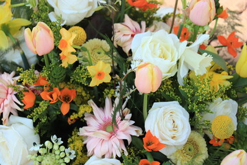 Colorful spring flowers