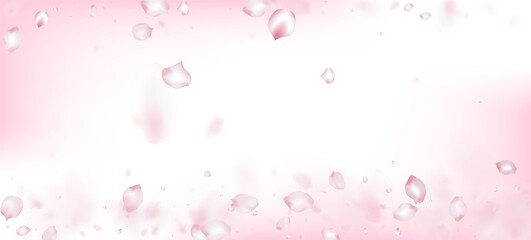 Cherry Sakura Petals Confetti. Flying Japanese Sakura Rose Cherry