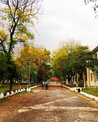 Autumn season in the park