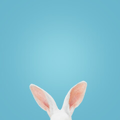White rabbit ears on a light blue background with copy space. Easter minimalism.