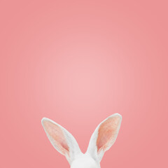 White rabbit ears on a light pink background with copy space. Easter minimalism.