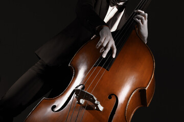 Double bass strings. Hands playing contrabass player