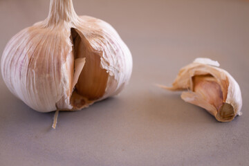 Garlic head on a gray plate. Aromatic food to flavor foods.