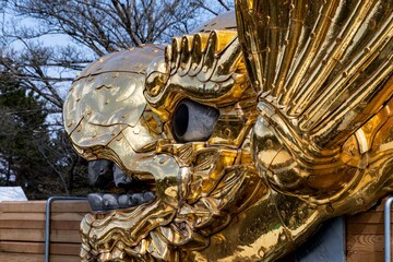 金のシャチホコ顔