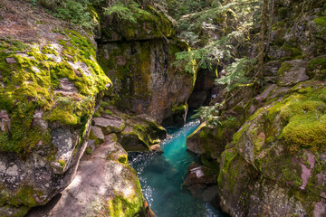 Looking into Avalanche Creek