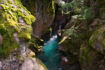 Looking into Avalanche Creek