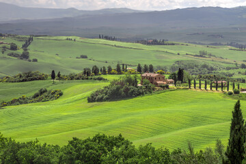 Fototapeta na wymiar Farmland below Pienza in Tuscany