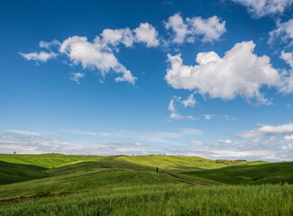 View of the scenic Tuscan countryside