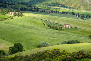 Obraz premium Farm in Val d'Orcia Tuscany