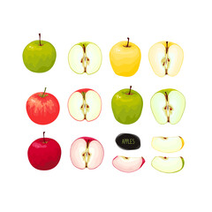 Some apple varieties set. Color illustration.