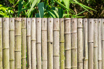 fence made of bamboo sticks