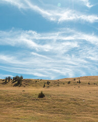 Fototapeta na wymiar Día soleado en el campo con montes de fondo.