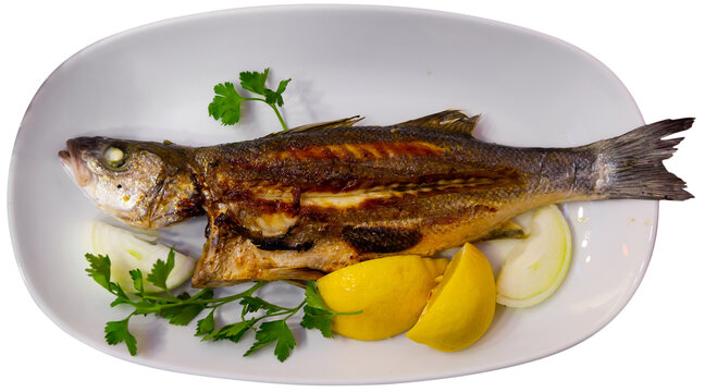 Baked seabass fish called in turkey Levrek with lemon and herbs.. Isolated over white background